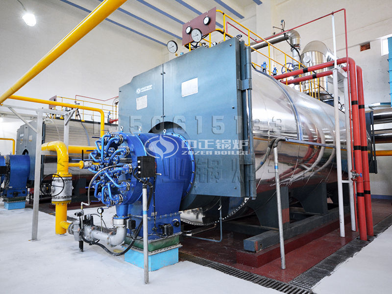 生物質(zhì)鍋爐 fgr